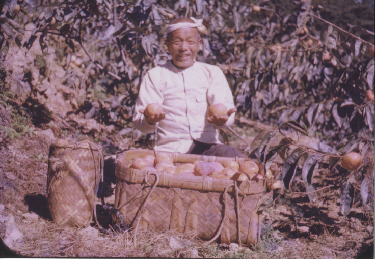 初代・太田金造