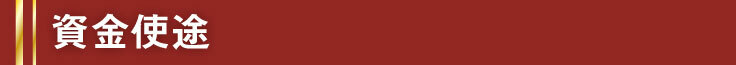 資金使途