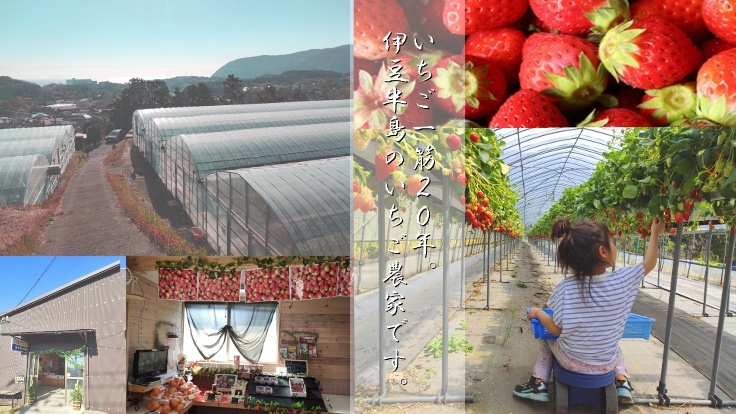 いちごらんど中西の紹介