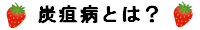 炭疽病とは？