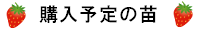 購入予定の苗