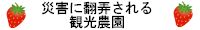 災害に翻弄される観光農園
