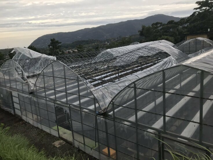 台風１５号で倒壊したハウス