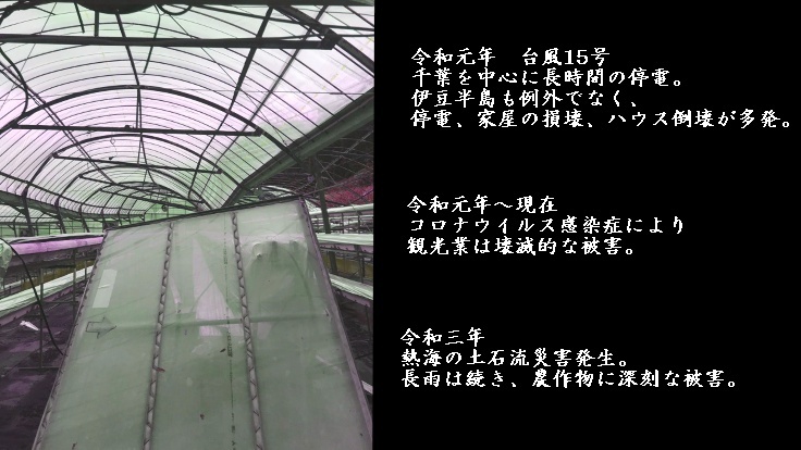 伊豆の自然災害