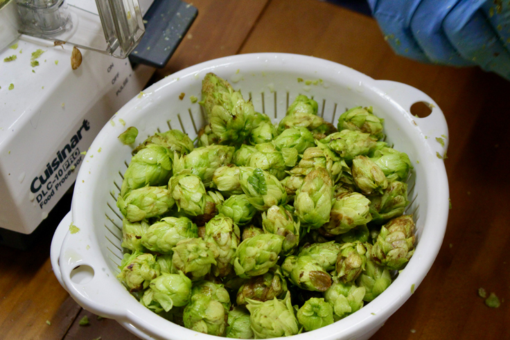 下処理したホップ