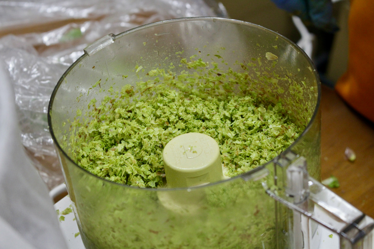 粉砕されたホップ