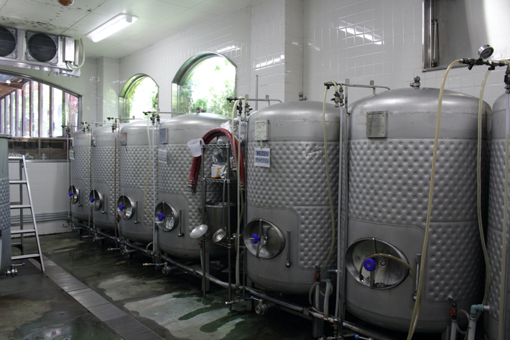 タンクに眠るクラフトビール