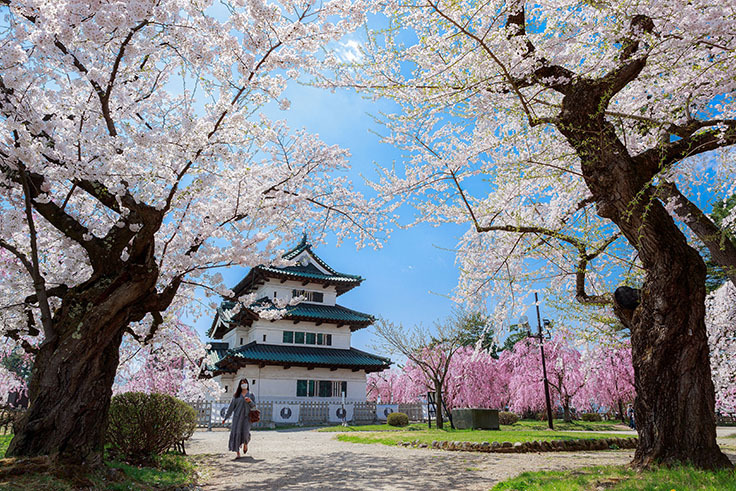 さくらまつり21