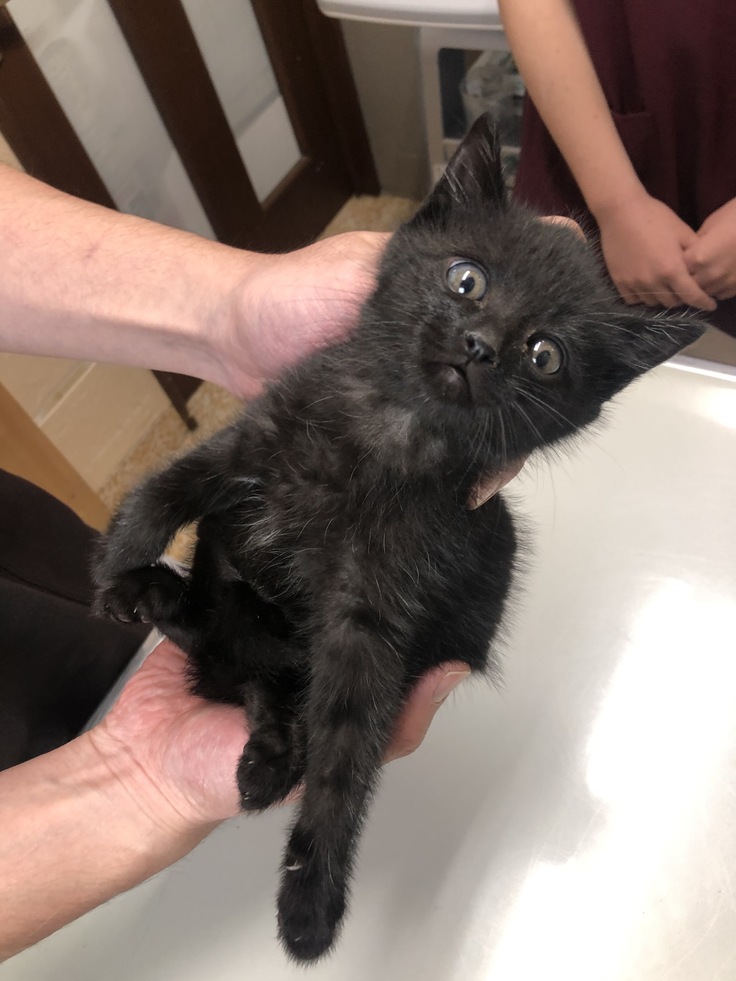 保護直後の病院で。