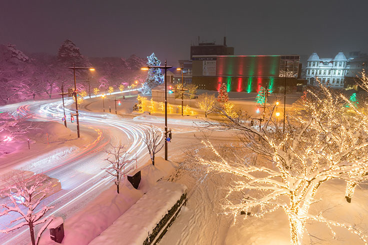 ライトアップの見頃