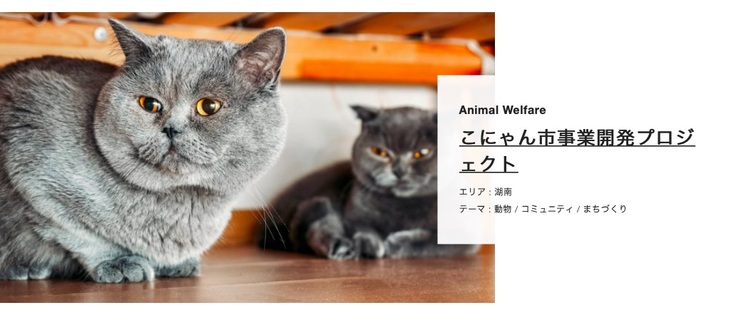 こにゃん市事業開発プロジェクト