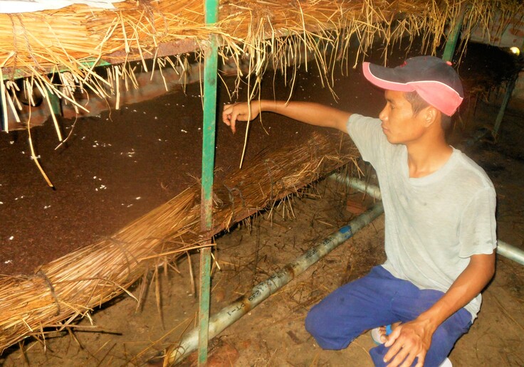 2015年～2017年まで、北インドアラハバードにて有機農業やきのこ栽培の技術研修に参加した代表実行者の夫。写真はボタンマッシュルームの栽培中。