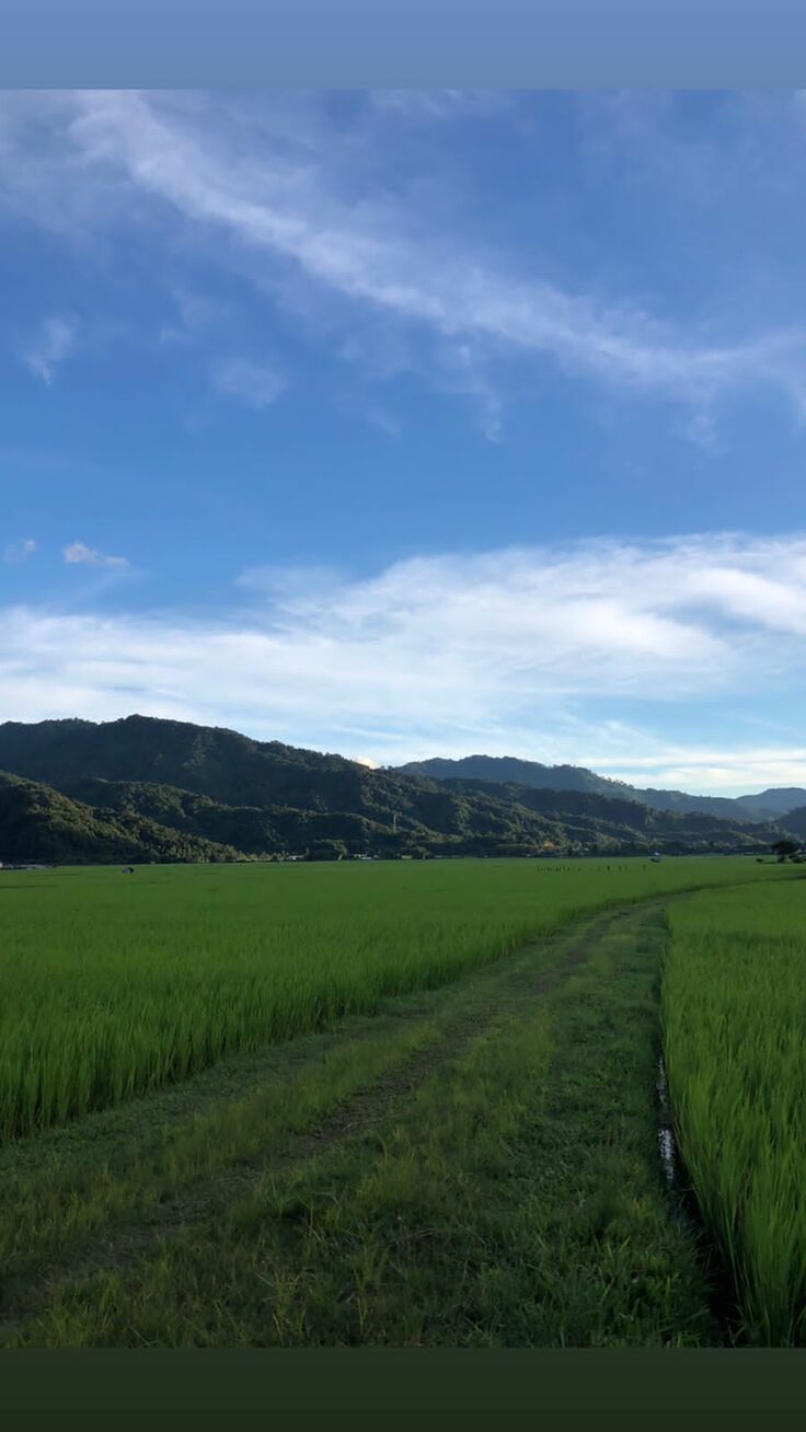 四方を山に囲まれた平野部が広がるコウプム。