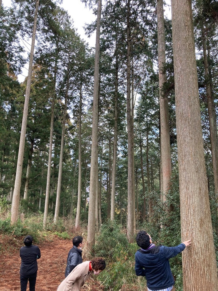 福岡おもちゃ美術館の百年檜