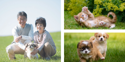 ペットたちが安心できる環境