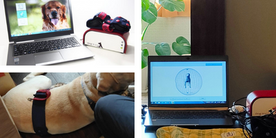 ドッグスキャン®イメージ