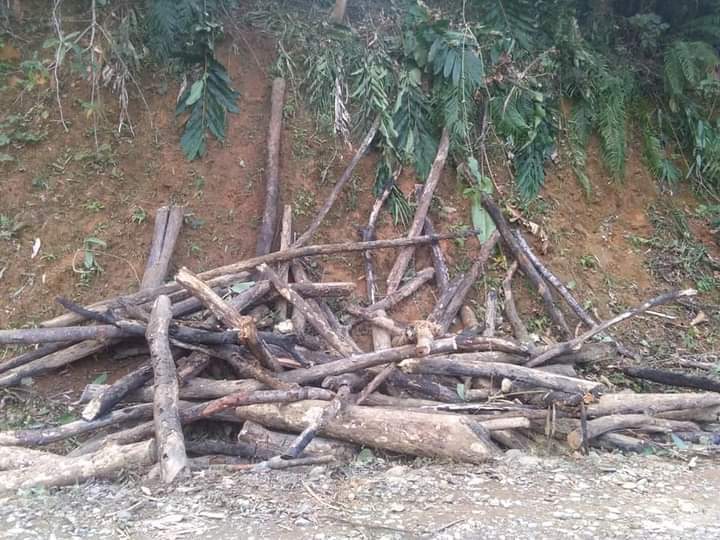 多くの場合、木材は薪用に活用されている。