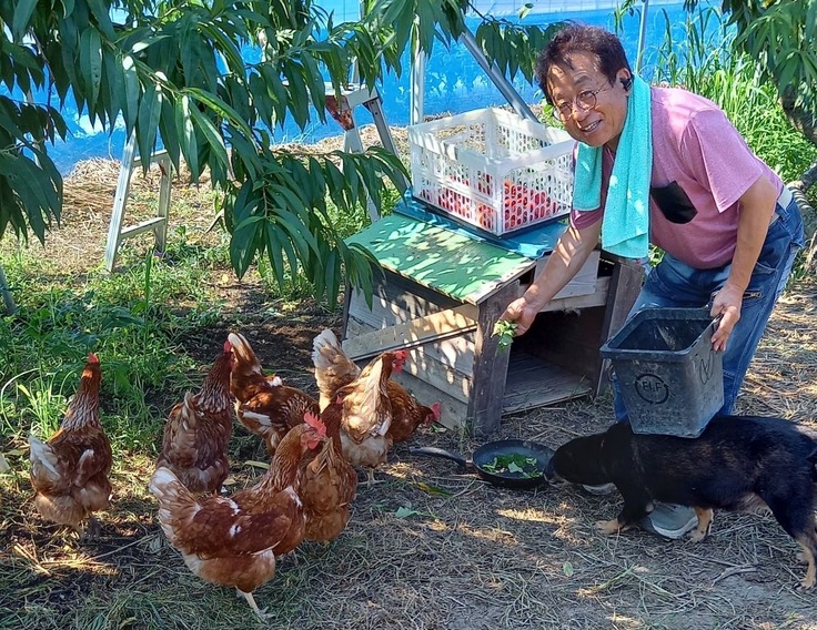 平飼の有精卵を生産