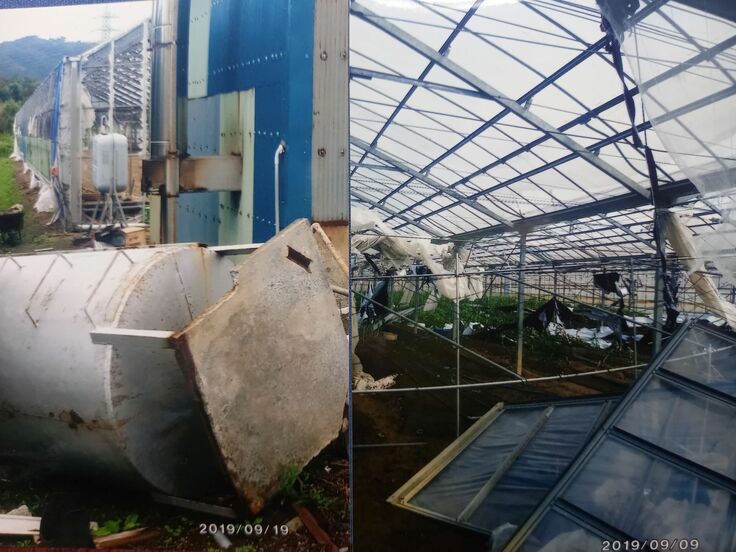 台風15号被災写真（ﾊｳｽ、燃料ﾀﾝｸ）