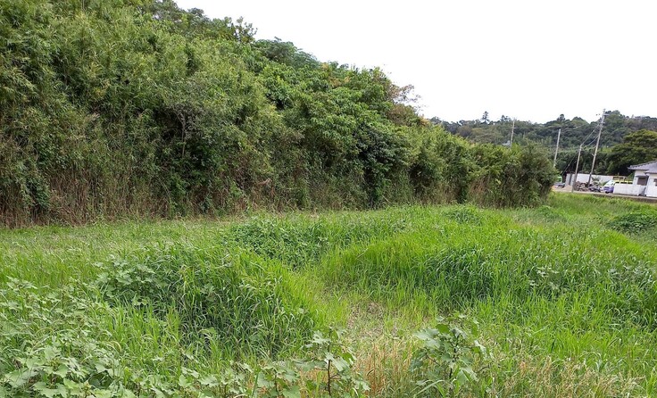 堆肥舎建設予定地