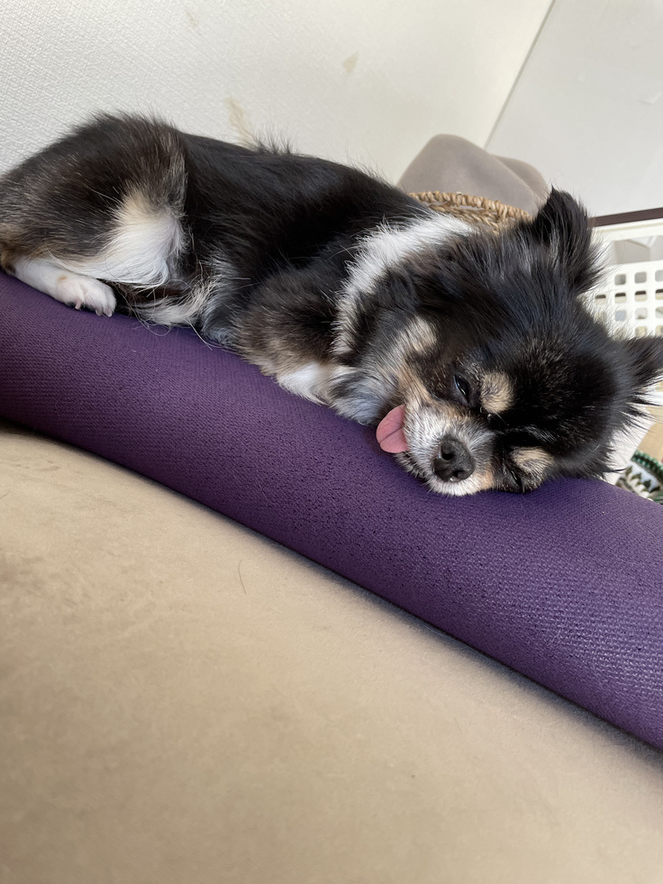 寝てばかりで食欲も無くなってきました