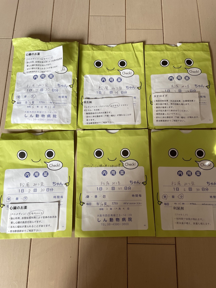 心臓が肥大すると気管虚脱の炎症を併発します。その時は抗生剤とステロイドを投薬します。