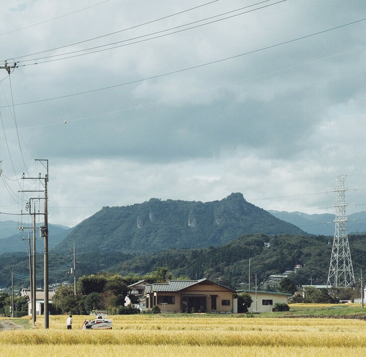 田んぼと嵩山