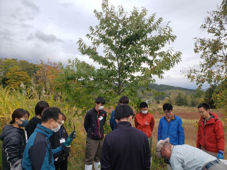 野外講習の様子