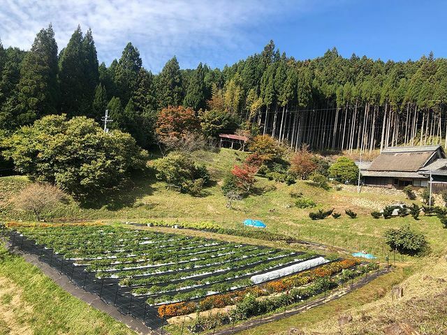 農園が整備されている様子