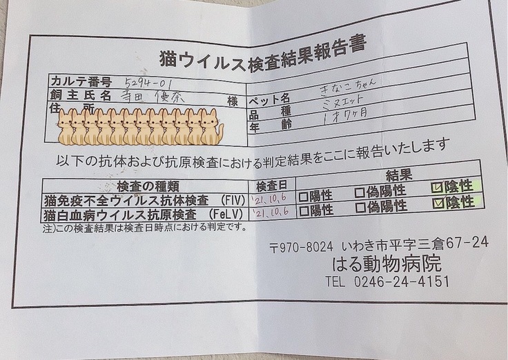 猫_血液検査結果