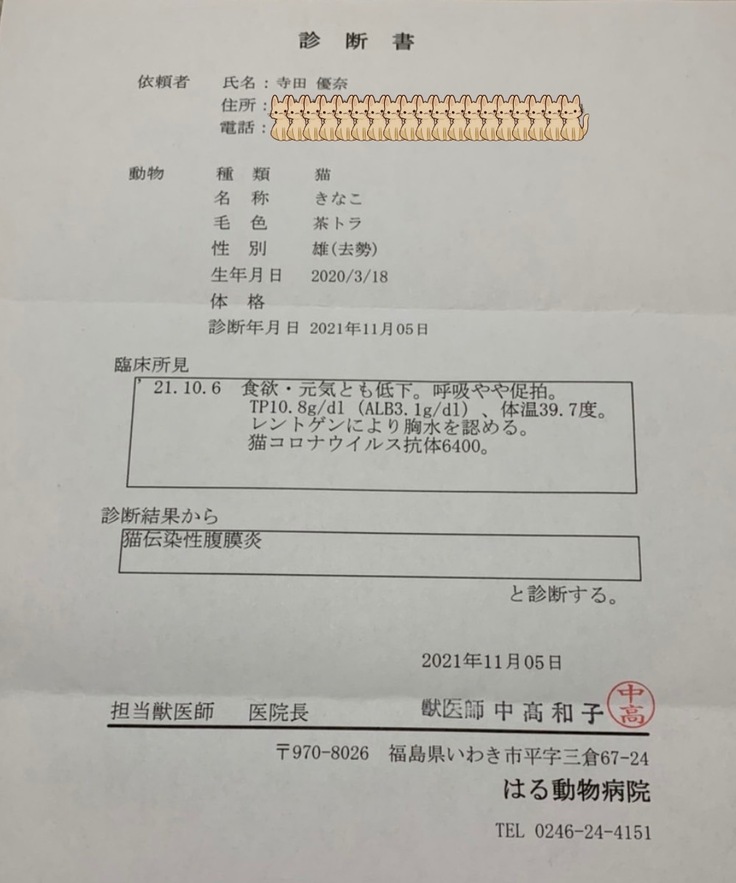 猫_FIP_診断結果(2)