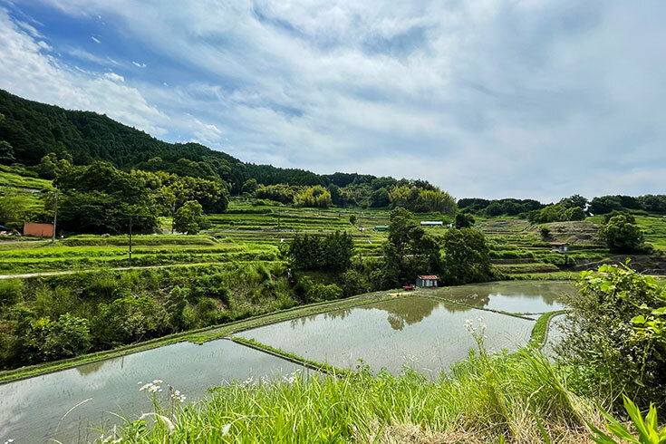 明日香村稲渕地区の棚田