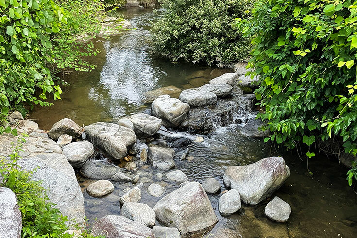 万葉の時代から今も残る、飛鳥川の飛び石