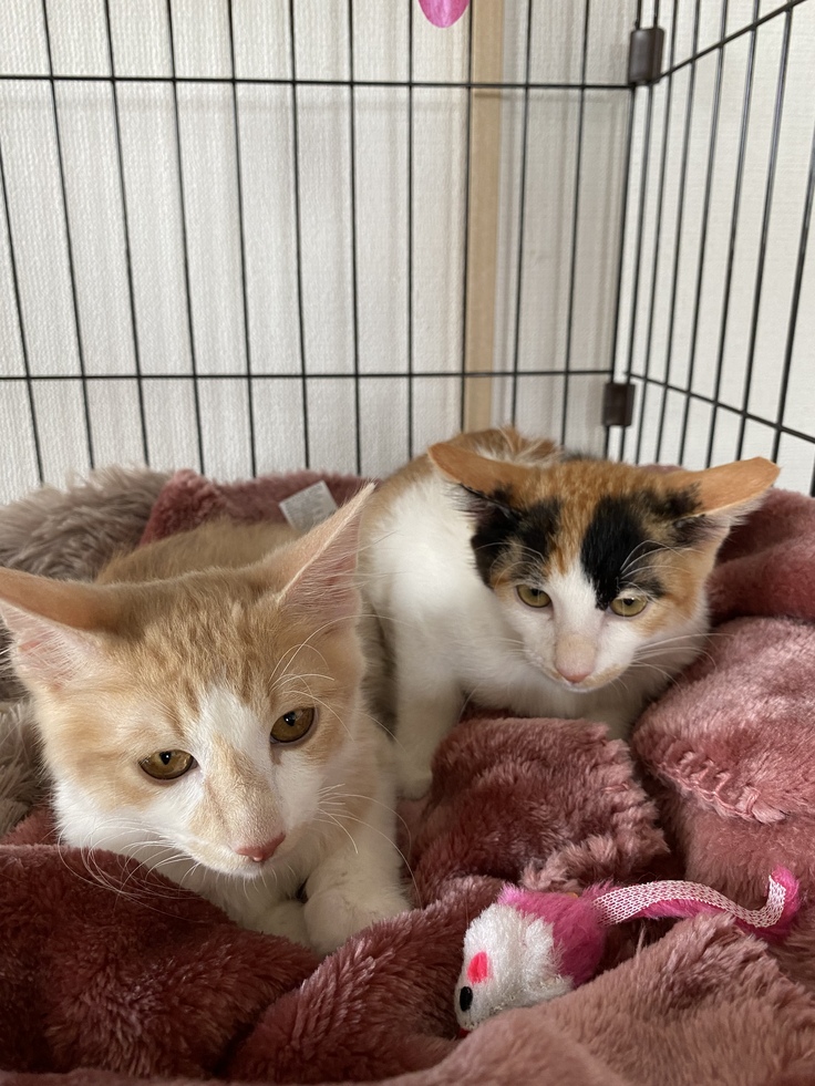 我が家に到着してすぐの写真