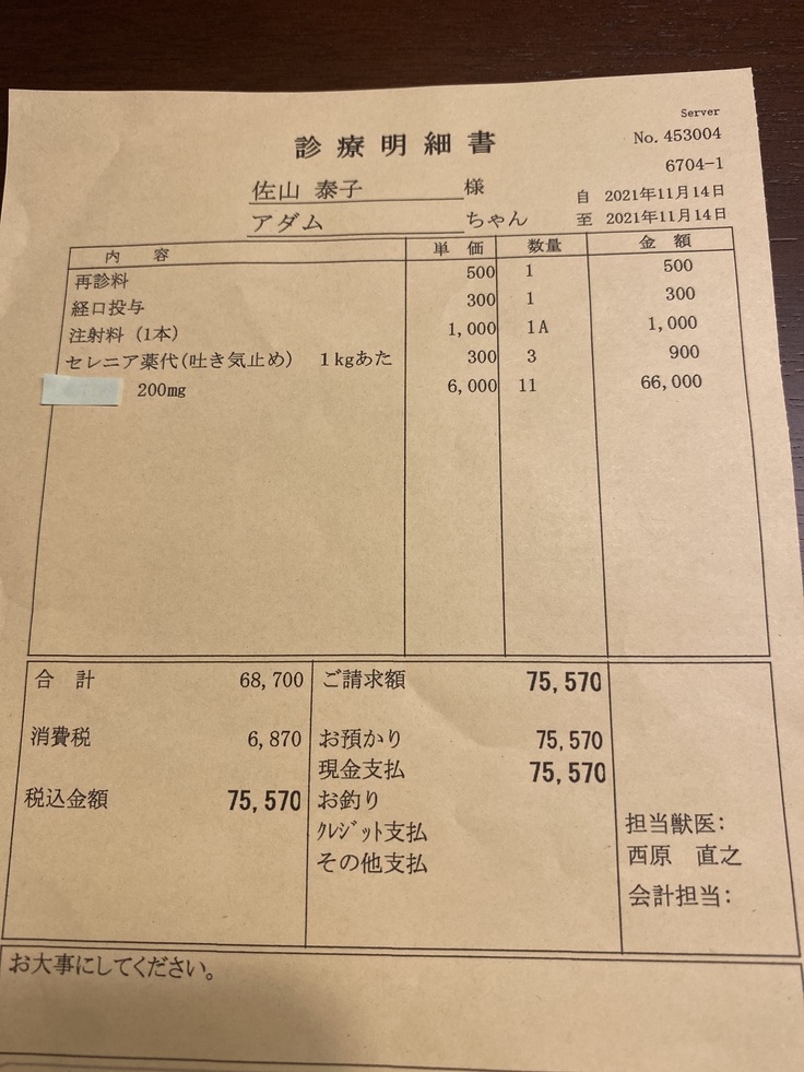 前日貰った3錠を差し引いた薬代