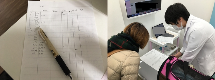 左：猫の健康チェック表　右：動物病院で検査結果の説明