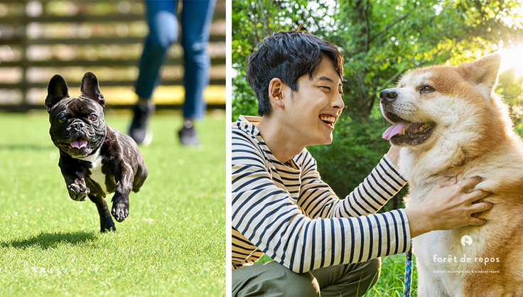 ドッグラン併設