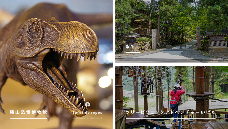 恐竜博物館や永平寺などの周辺観光施設