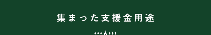 集まった支援金用途
