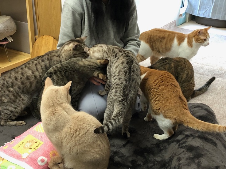 ボランティアさんのお膝で甘える