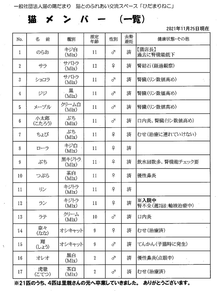 猫メンバー一覧