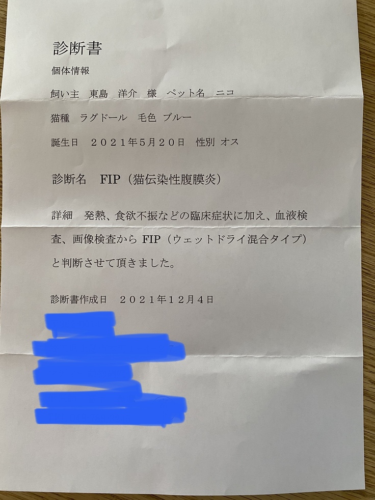 確定診断書