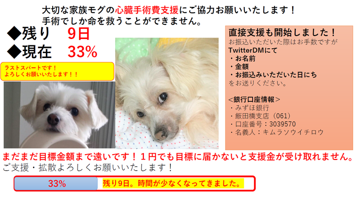 残り9日！達成率35％！絶対に諦めません！ 心臓病で余命半年の愛犬モグ