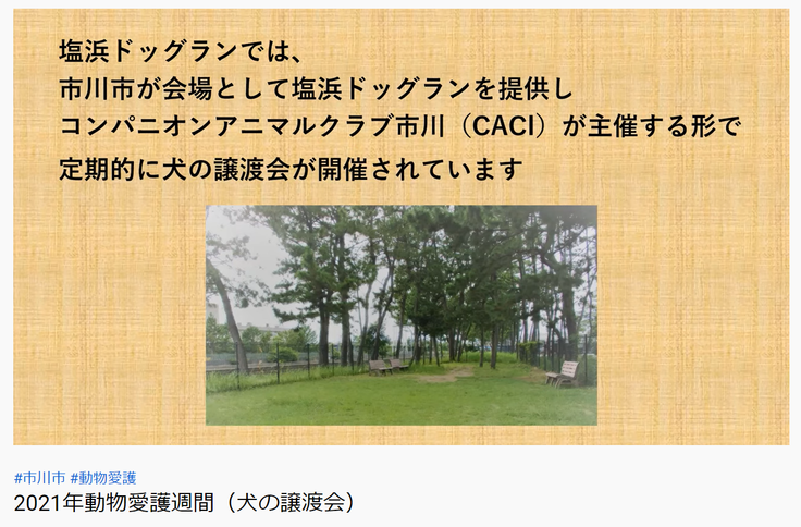 市川市公式YouTube