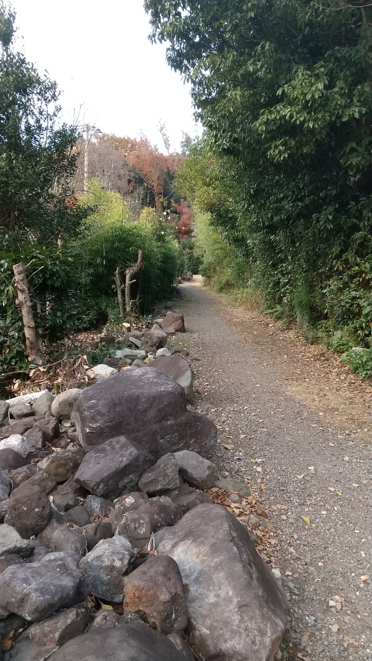 現地への入り口に続く小道