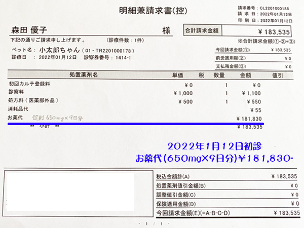2022年お薬代・診療明細