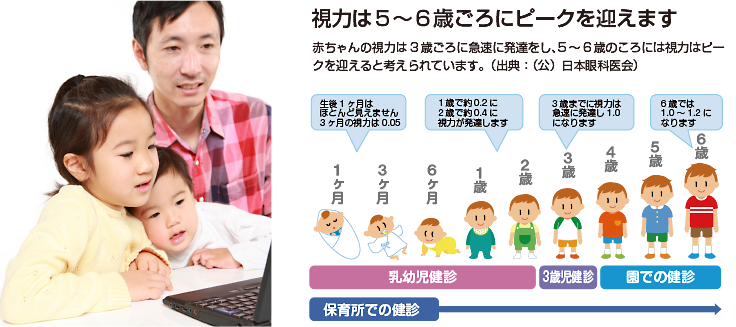 こどもの視力は5～6歳ごろにピークを迎えます
