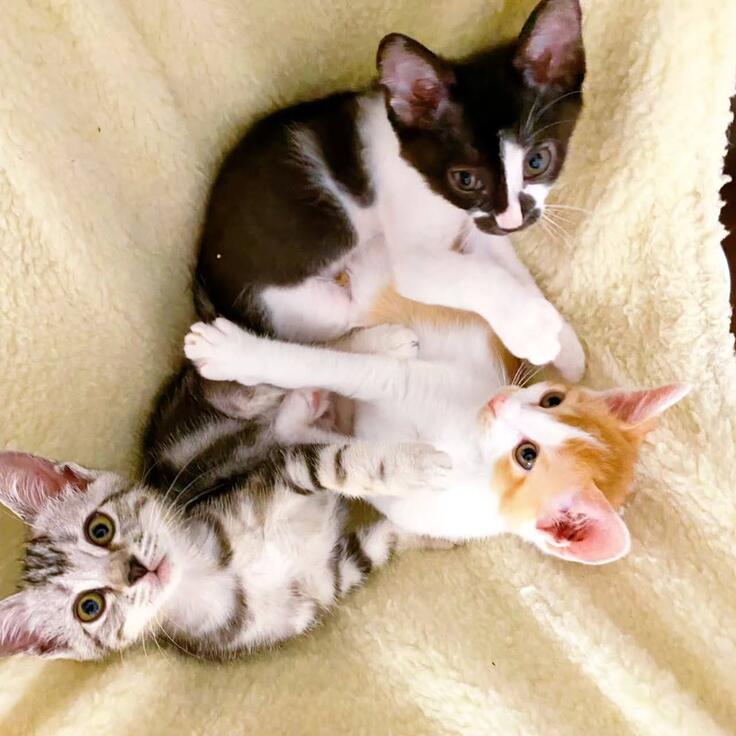 シェルターにて