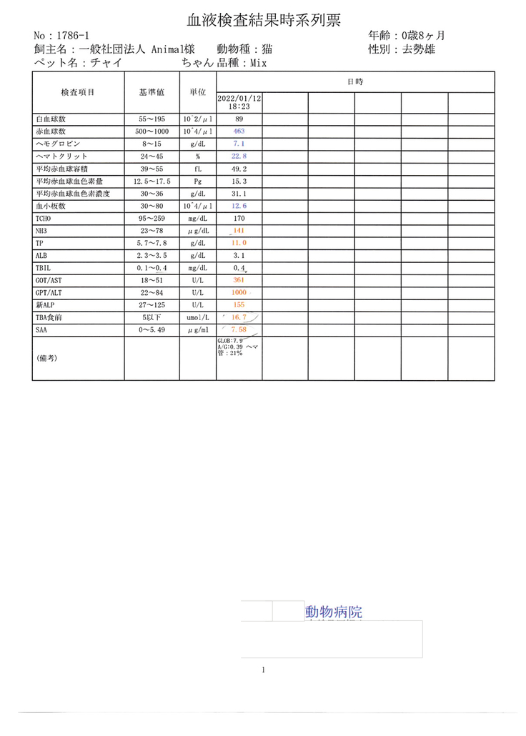 血液検査２