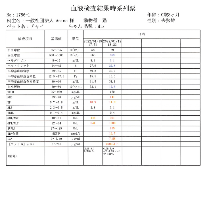 血液検査1月19日